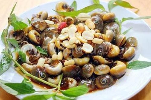 Ăn phải ốc lạ, 8 người thương vong