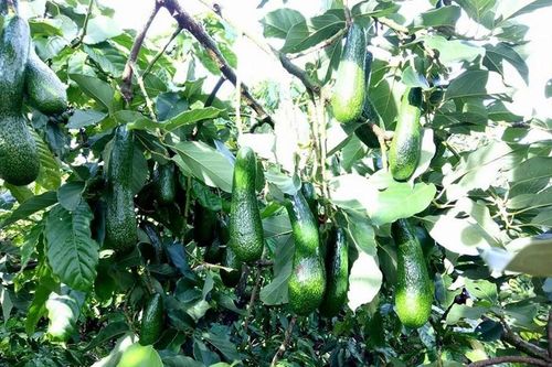 Tín hiệu vui từ cuộc sống