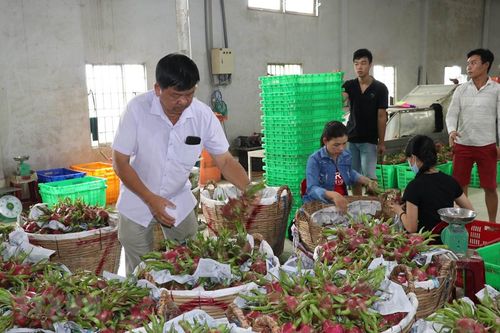 Gỡ rào cản để hội nhập