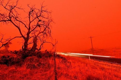 Hổ cháy, kangaroo và vô số thông tin sai lệch về cháy rừng Australia