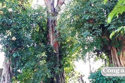 'Ách giữa đàng'...!
