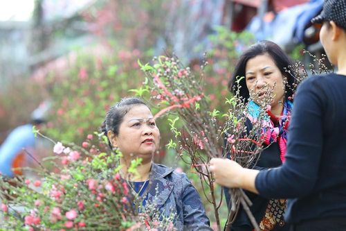Đào, quất, hoa ngập tràn phố trước rằm tháng Chạp