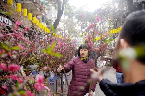 Hà Nội cấm đường 5 tuyến phố cổ tổ chức Chợ hoa Xuân 2020