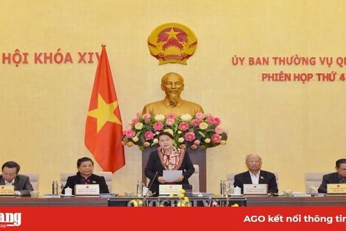 Khai mạc phiên họp thứ 41 của Ủy ban Thường vụ Quốc hội