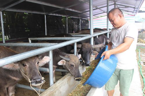 Hiệu quả chương trình đào tạo nghề cho lao động nông thôn