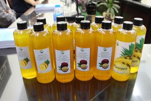 Ứng dụng công nghệ sinh học sản xuất isomaltulose từ đường mía