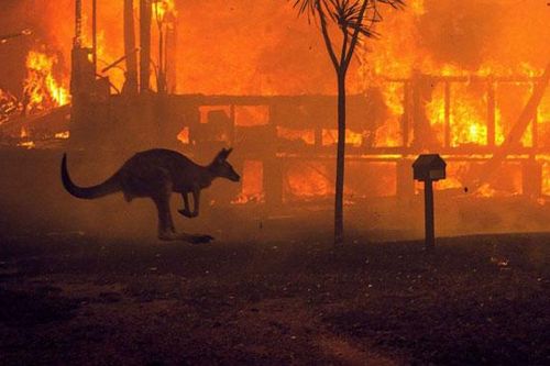 Australia tiếp tục kêu gọi đợt sơ tán mới do cháy rừng