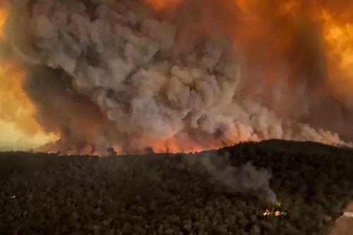 2 đám cháy đã hợp nhất, đủ bao trùm thủ đô Australia