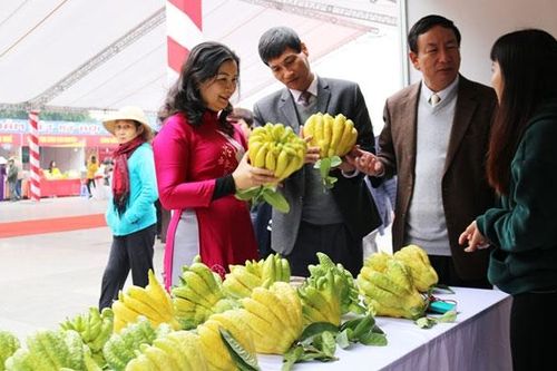 Hội chợ hàng hóa nông sản, thực phẩm Tết