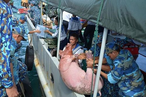 Những chuyến hàng 'chở xuân' ra Trường Sa cho bộ đội đón Tết
