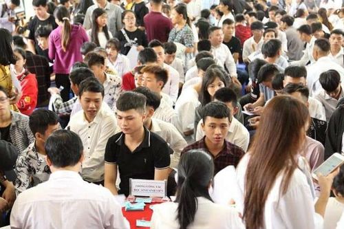 Thực hiện Luật Giáo dục Đại học: Siết xử phạt vi phạm!