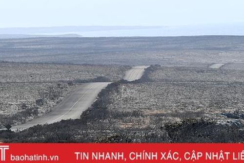Australia tiếp tục kêu gọi 240.000 người sơ tán do cháy rừng lan rộng