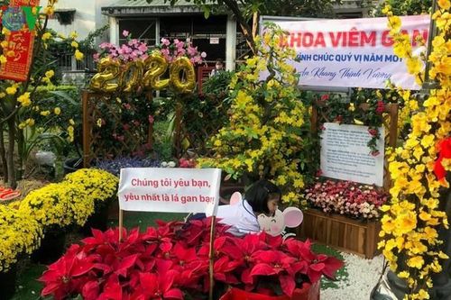 Đặc sắc đường hoa Tết đặc biệt trong Bệnh viện Chợ Rẫy