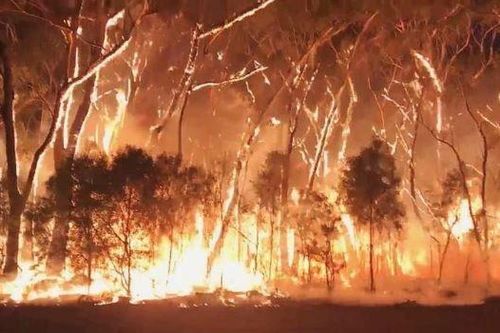 Lượng CO2 từ cháy rừng ở Australia tương đương thảm họa cháy rừng Amazon