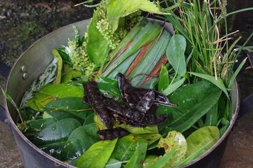 Cách nấu nồi lá xông hơi đúng chuẩn để trị cúm, giải cảm tại nhà
