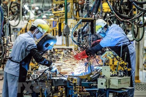 Doanh nghiệp Việt cần minh bạch nguồn gốc sản phẩm trong hội nhập quốc tế