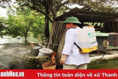 Có 5 huyện, thị xã và 316 xã công bố hết bệnh dịch tả lợn Châu Phi