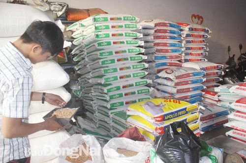 Chăn nuôi gặp 'bão', nhập siêu nguyên liệu thức ăn vẫn lớn