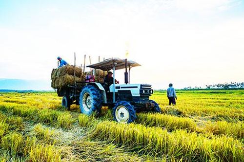 Trao quyết định công nhận 8 xã nông thôn mới