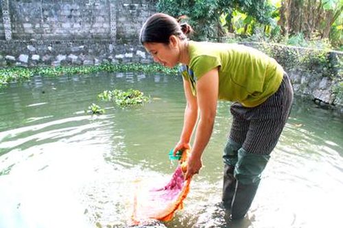 Ninh Vân thiếu nước sạch