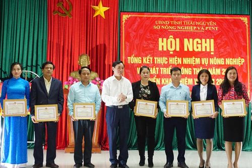 Giá trị sản xuất nông, lâm nghiệp và thủy sản tăng 4%