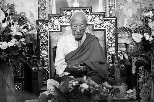 Tây Tạng : Lãnh đạo truyền thống Phật giáo Nyingma viên tịch ở tuổi 91