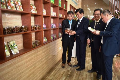 Sunfood khai trương hoạt động thu mua, đóng gói rau VietGAP Đà Lạt