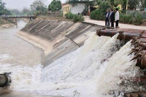 Sẽ báo cáo Thủ tướng hỗ trợ kinh phí chống hạn vụ Xuân 2020