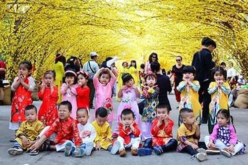 Rộn ràng phố hoa mai đón Tết tại TP Hồ Chí Minh