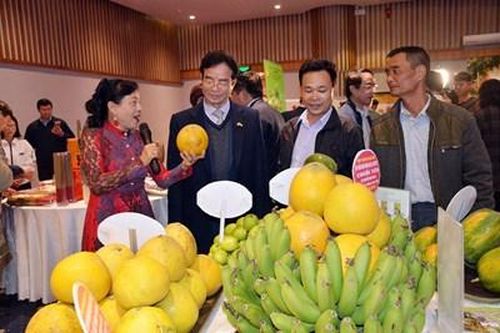 Khai mạc Hội chợ Xuân Canh Tý 2020