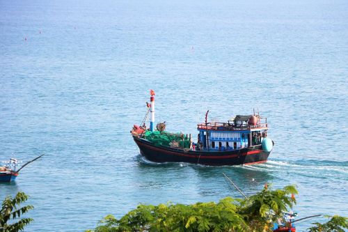Khánh Hòa: Ngư dân vươn khơi bám biển xuyên Tết
