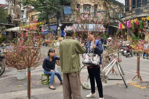 Chợ hoa Hà Nội vào vụ Tết