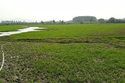 Hà Nội: Tập trung thực hiện danh mục các dự án thu hồi đất năm 2020