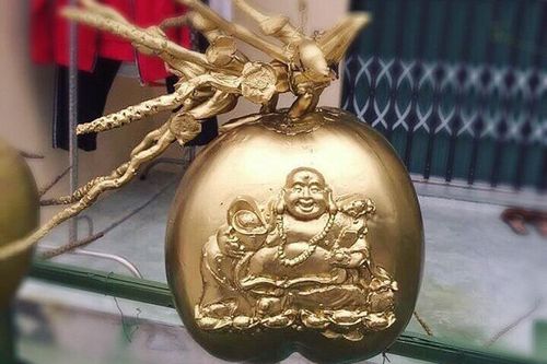 'Phật Di Lặc' hiện hình trên quả dừa, vàng rực giữa mùa Tết này