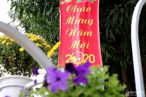 Rộn ràng sắc Xuân trên phố Vinh