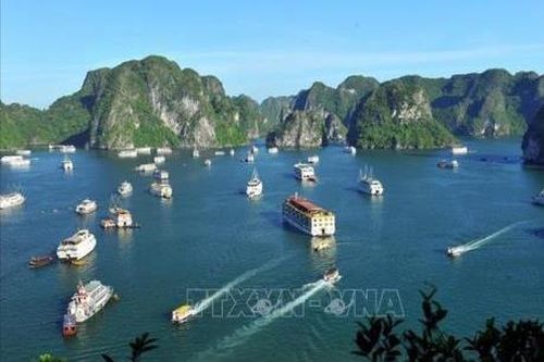 Di sản thiên nhiên thế giới Vịnh Hạ Long: Những giá trị đặc biệt hiếm có
