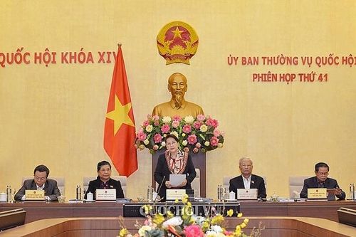 Luật Giám định tư pháp: Chỉ sửa đổi, bổ sung những vấn đề cấp bách