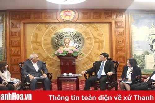 Phó Chủ tịch UBND tỉnh Mai Xuân Liêm tiếp và làm việc với đoàn công tác Tập đoàn Adani (Ấn Độ)