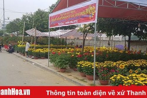 20 điểm chợ hoa xuân trong dịp Tết Nguyên đán Cánh Tý 2020 tại TP Thanh Hóa