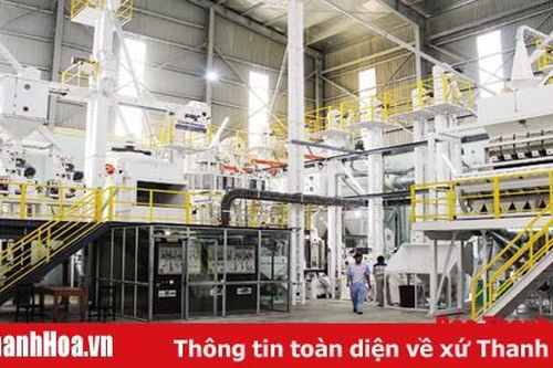 Gắn sản xuất nông nghiệp với chế biến theo chuỗi giá trị