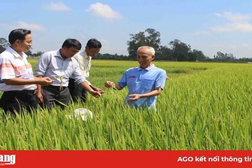 Phát triển Tân Châu trở thành vùng kinh tế trọng điểm của tỉnh