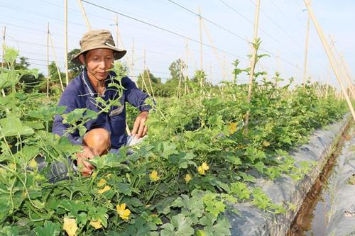 Tấm lòng thiện nguyện vì người nghèo