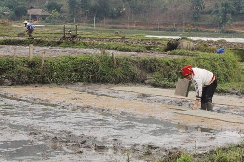 Chủ động chống hạn vụ đông xuân