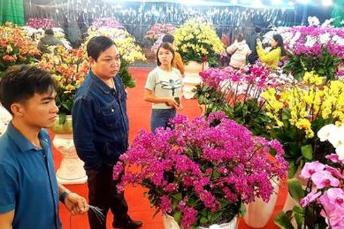Nhộn nhịp thị trường hoa Tết