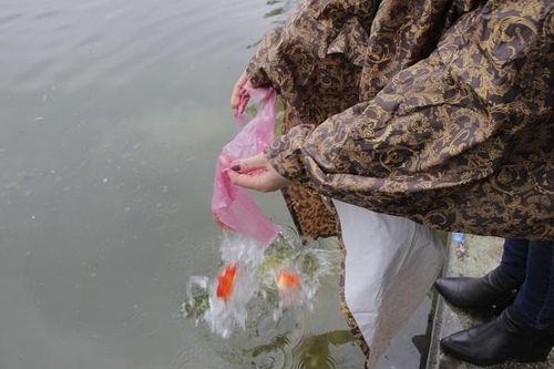 Không vứt túi ni lông, rác thải xuống ao, hồ trong dịp Tết ông Công, ông Táo