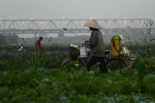 Hà Nội chìm trong sương mù cả ngày lẫn đêm