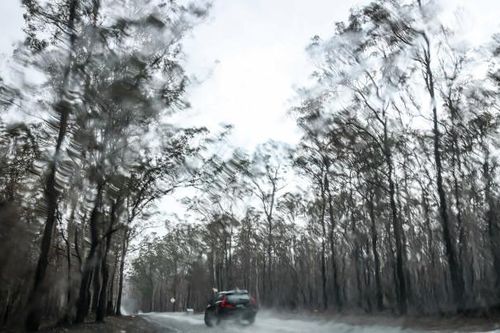 Một 'quả bom mưa' sắp xuất hiện ở Australia