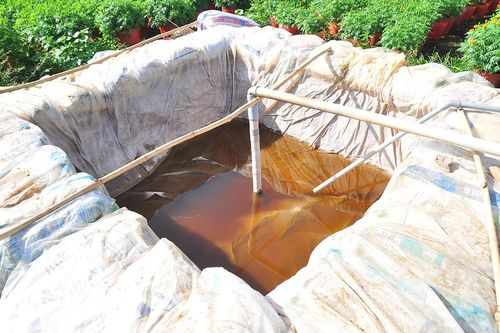Bến Tre công bố tình huống khẩn cấp về xâm nhập mặn