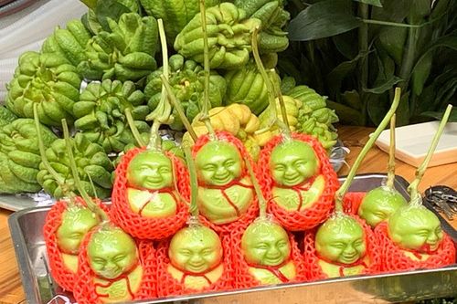 Dưa thần tài, lan hồ điệp khoe sắc xuân trên đường Hoàng Hoa Thám