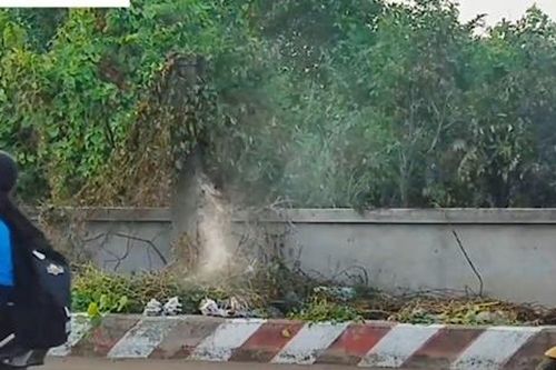 Phát hiện người đàn ông tử vong trong đám cháy cỏ